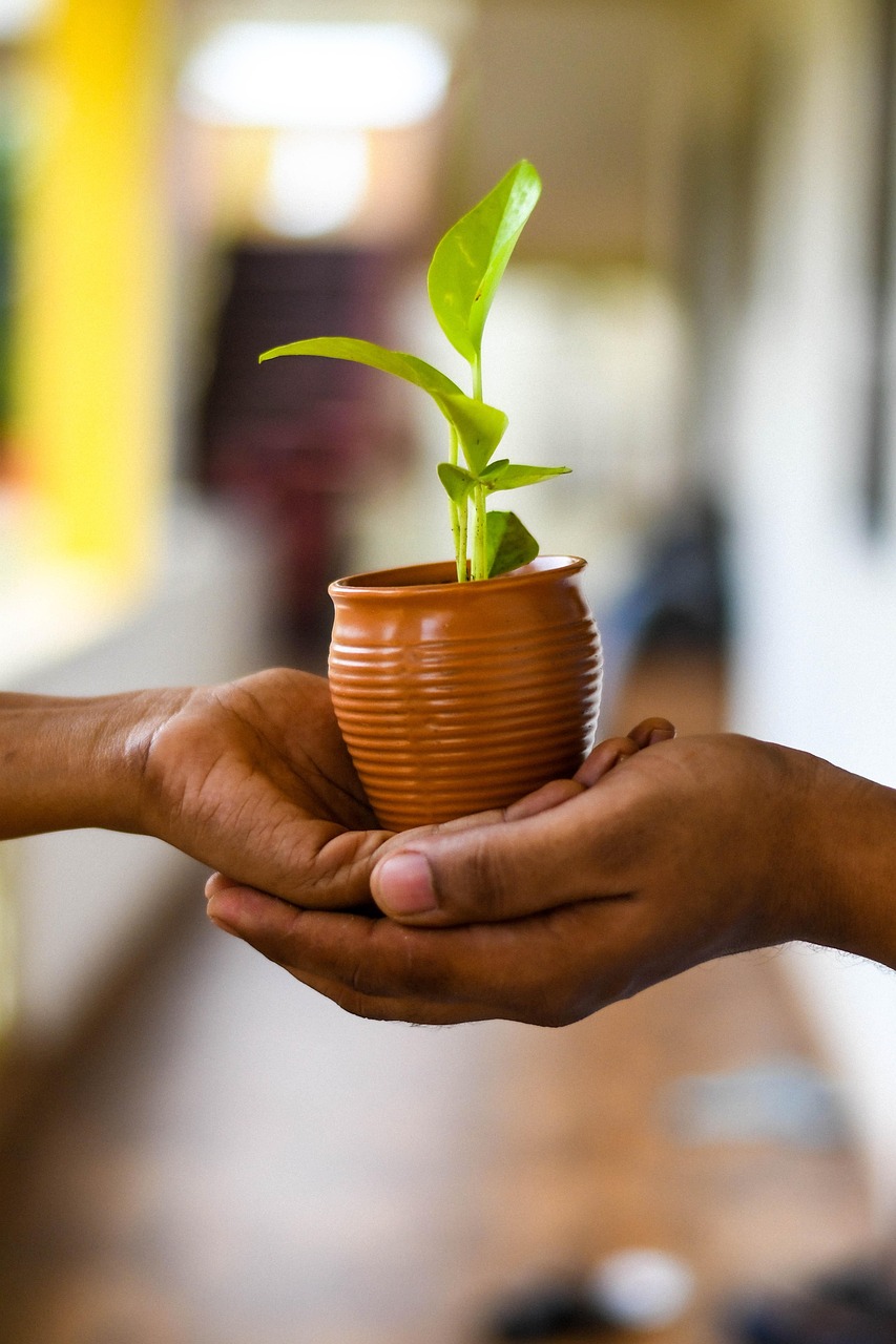 Eco-Friendly Pest Control Mumbai