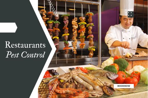 Pest Control for Restaurants and Bar