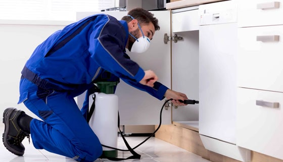 Pest Control Services in Thane